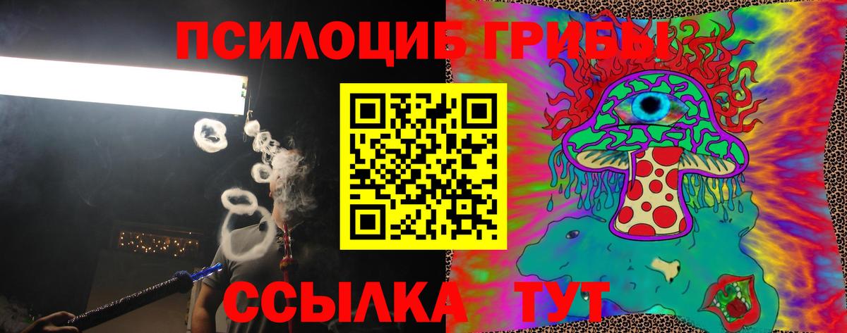 наркошоп  Вход с VPN  Зеленокумск  Псилоцибиновые грибы мицелий  Псилоцибиновые грибы мицелий 